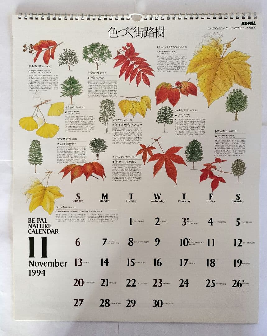 BE-PAL ビーパル カレンダー 新品未使用 1994年 ヴィンテージ