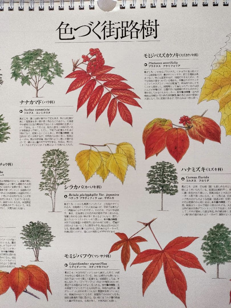 BE-PAL ビーパル カレンダー 新品未使用 1994年 ヴィンテージ