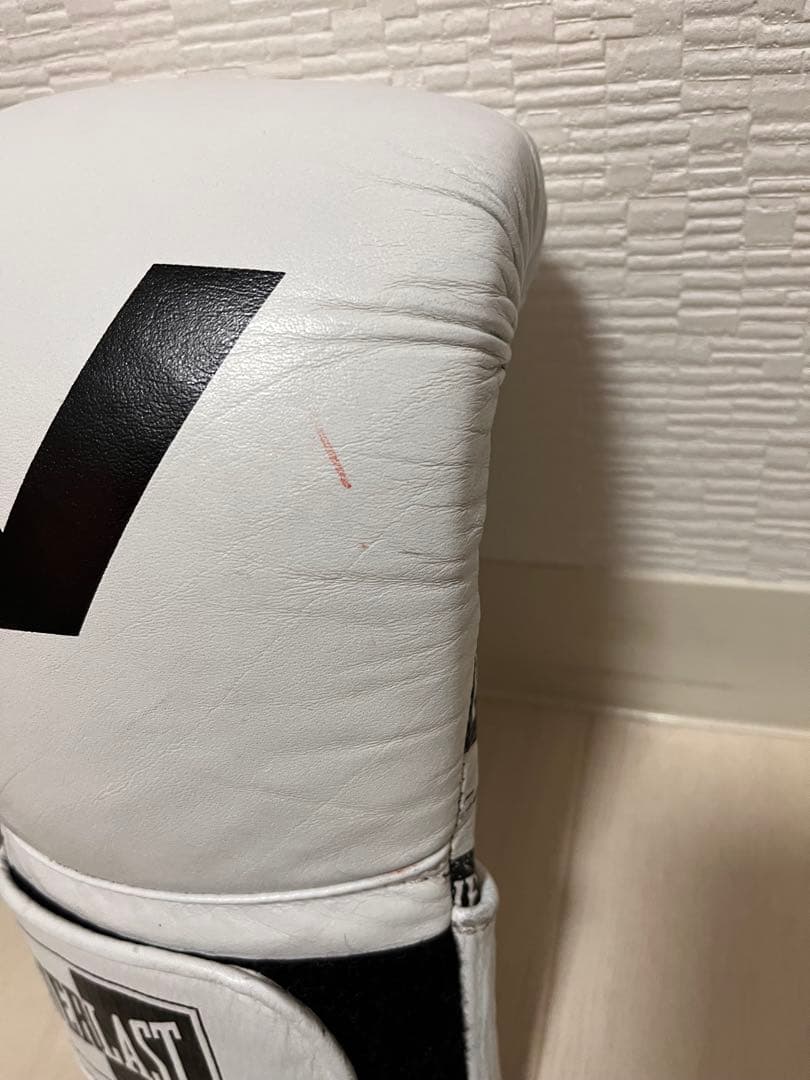 RVCA & EVERLAST 14 oz ボクシンググローブ 中古品