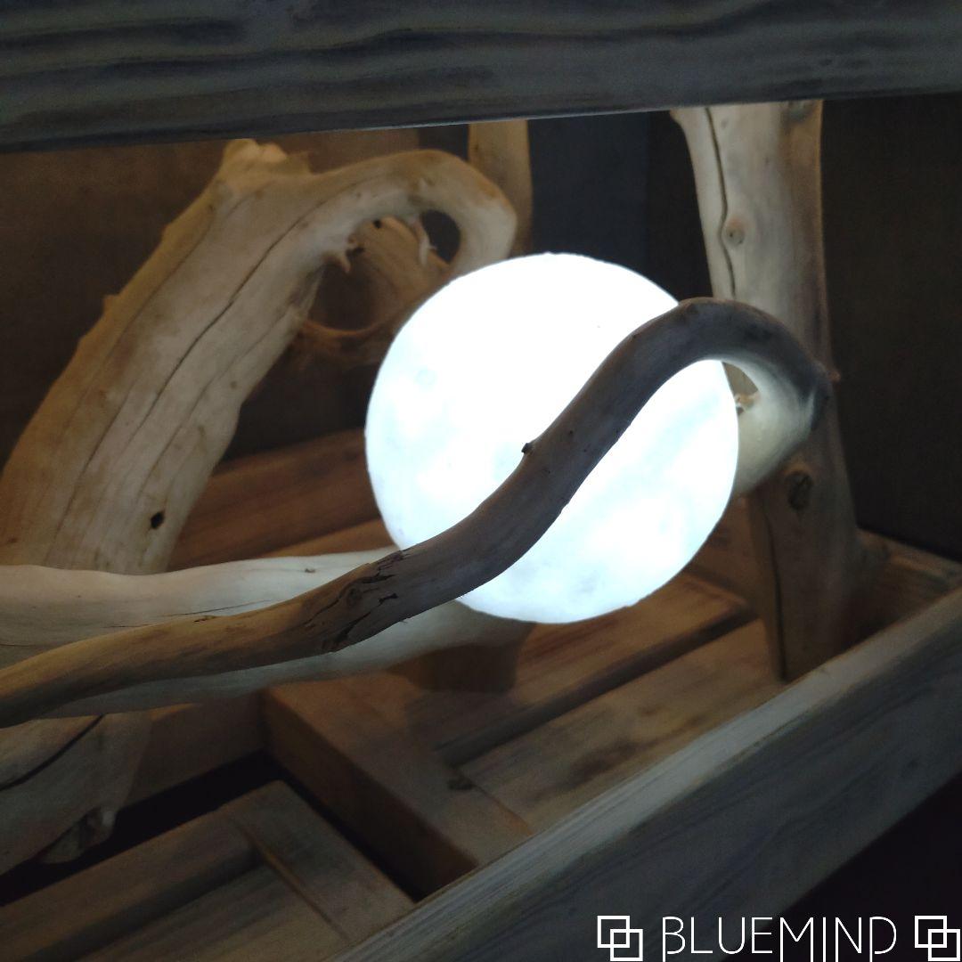 No.1300記念作品【chuchumama】奇跡の流木テーブル