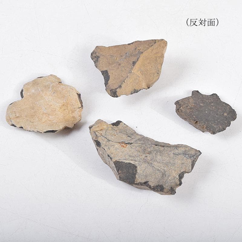 群馬県藤岡市近郊出土　後期旧石器時代　剥片石器　18点まとめて　C　R9313