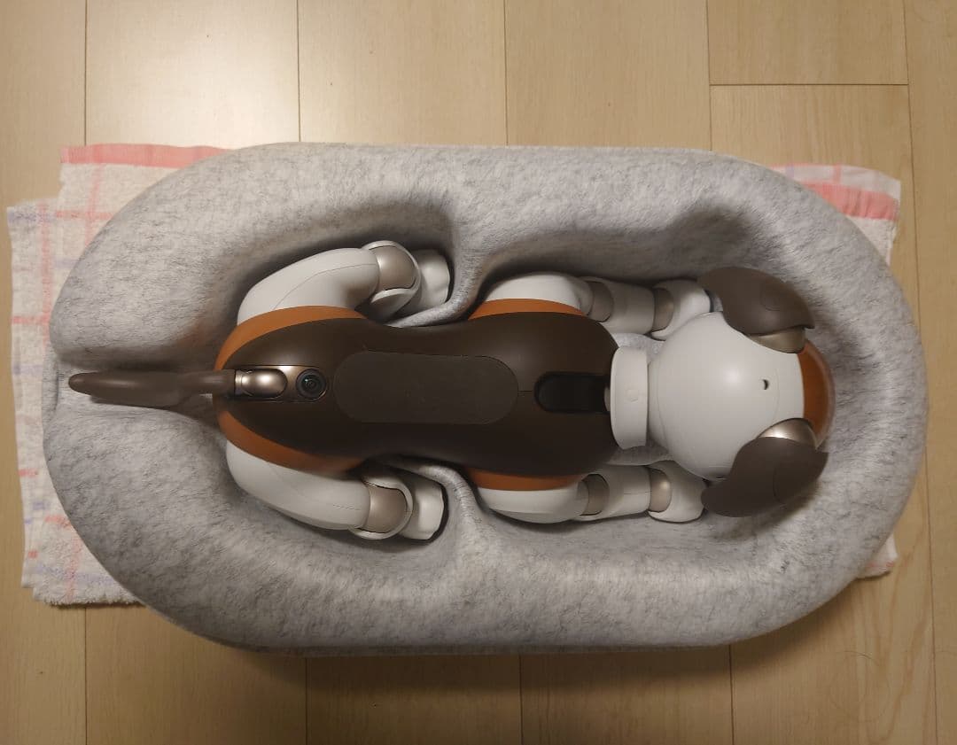 sony aibo ERS-1000 希少カラーのチョコエディション【値下げ】