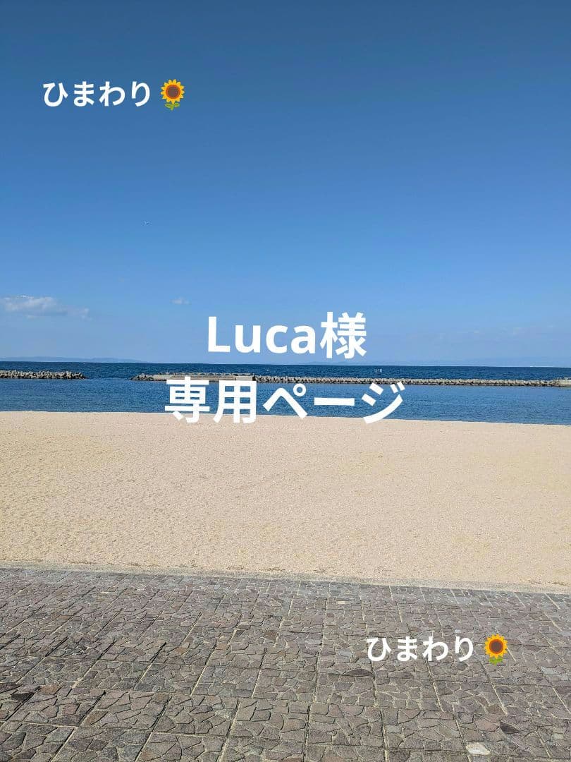 Luca 　小型犬4輪　リハビリ　食事補助　犬用車椅子　　犬の歩行器