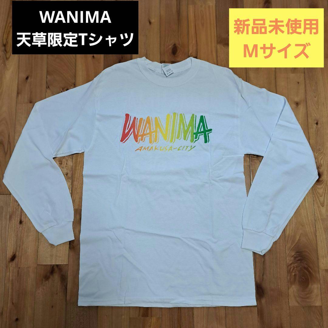【限定レア】WANIMA　天草限定　Tシャツ