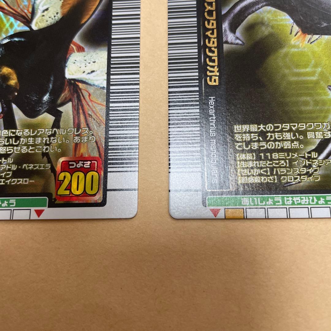 ムシキングカード　2005年夏限定デザインカード　3枚