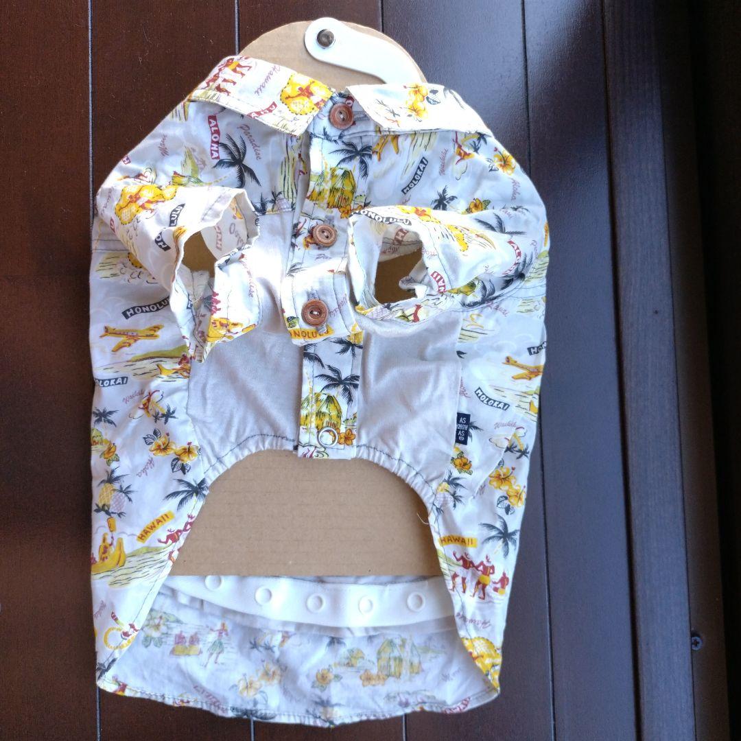 アズノゥアズデワン4点おまとめ