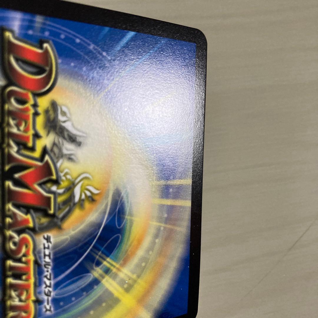 メルカリ便 聖霊超王 Hアルカディアス 秘 シク シークレット