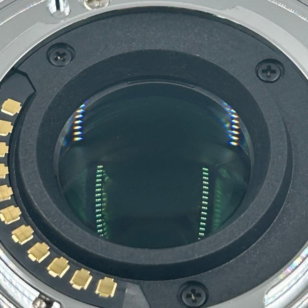 レンズ(ズーム) LUMIX G X VARIO 45-175mm F4.0-5.6 ASPH