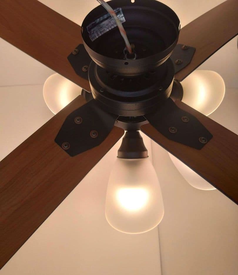 シーリングファン ウィンダブル 6灯 BIG-102 Windouble 阪和