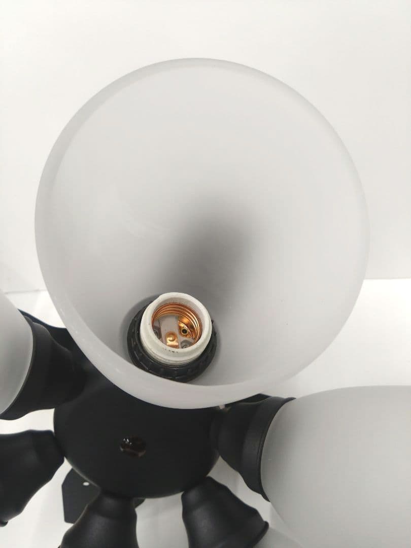 シーリングファン ウィンダブル 6灯 BIG-102 Windouble 阪和