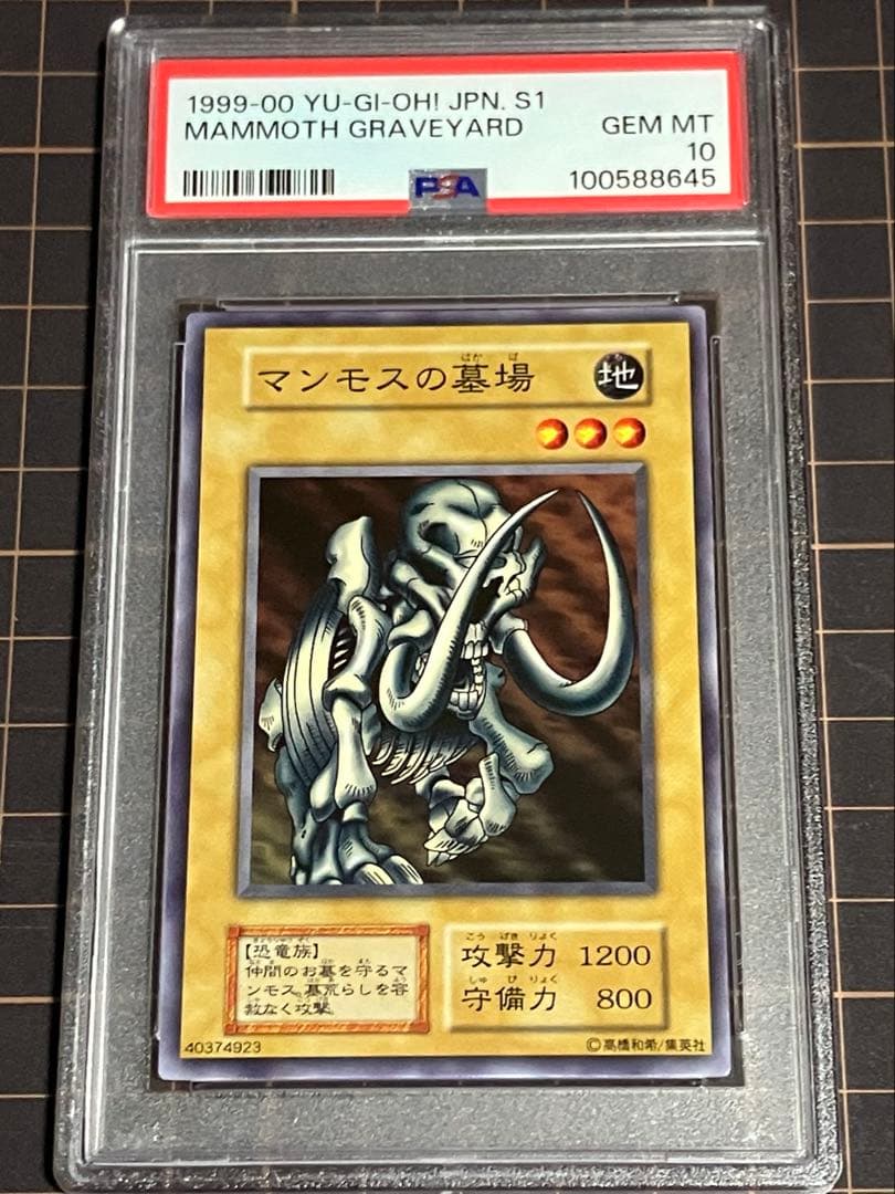 マンモスの墓場　初期　PSA10 遊戯王GEM Mint Vol.1