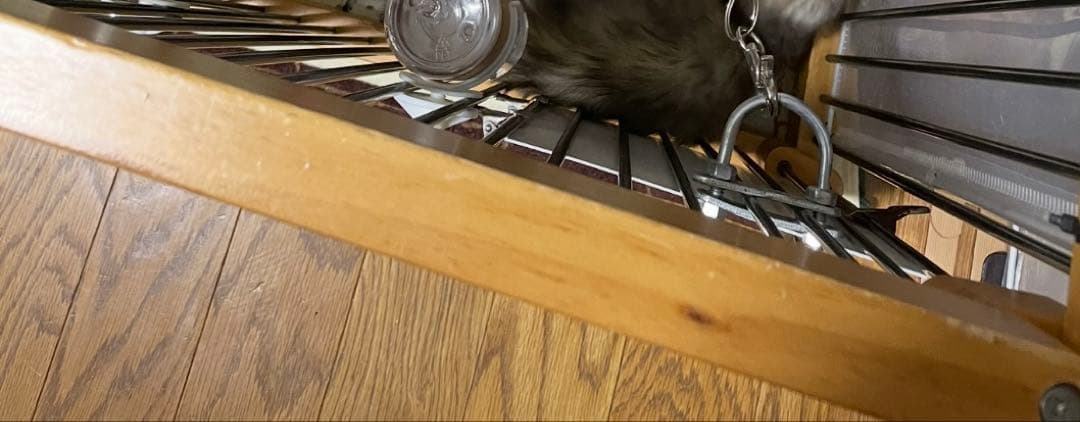 メディカル60 本体＋天井ルーフ　カワイ　フェレット　サークル　小動物　犬　廃盤