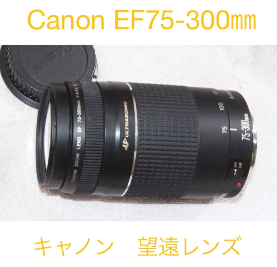 キャノン☆超望遠レンズ☆Canon EF75-300㎜