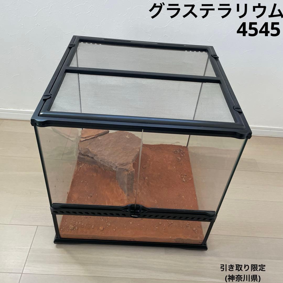 グラステラリウム　4545 エキゾテラ　飼育　ケージ　爬虫類　両生類　レイアウト
