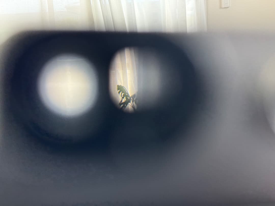 フィルムカメラ Leica IIIf red dial & W Nikkor 35mm f2.5