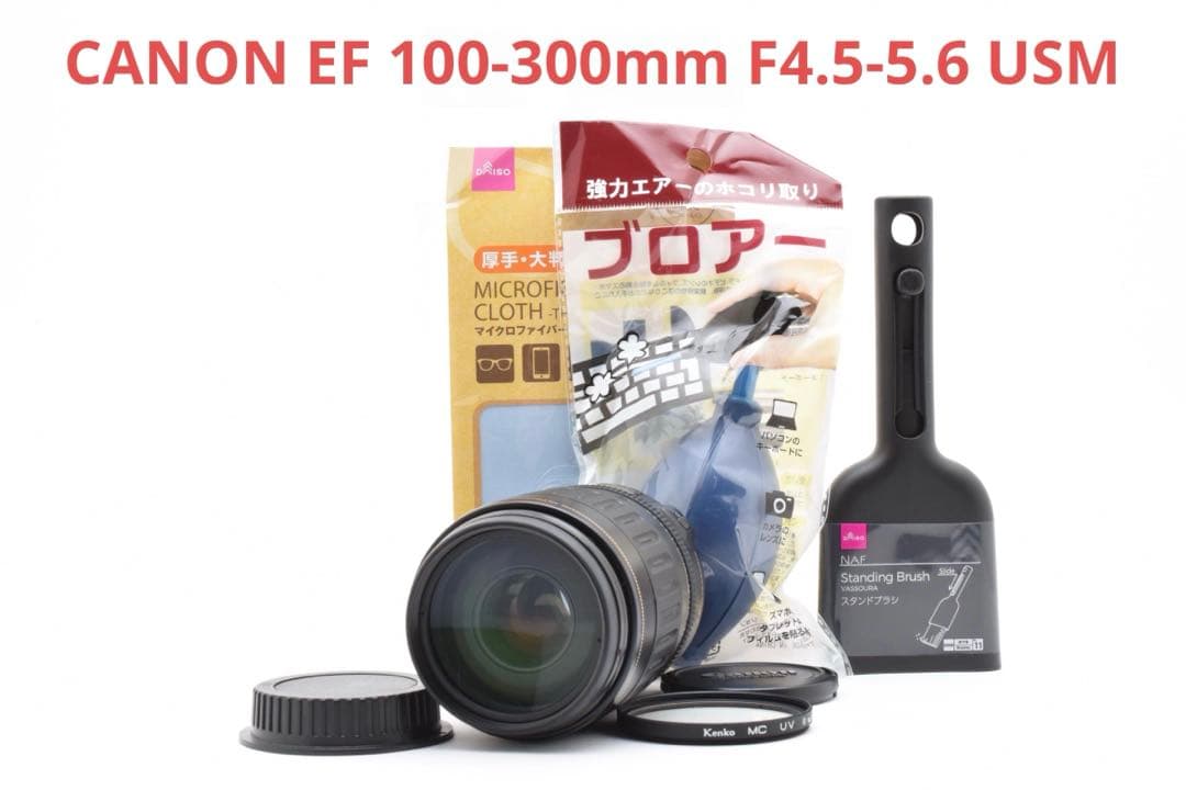 一眼レフカメラCANON EF 100-300mm F4.5-5.6 USM