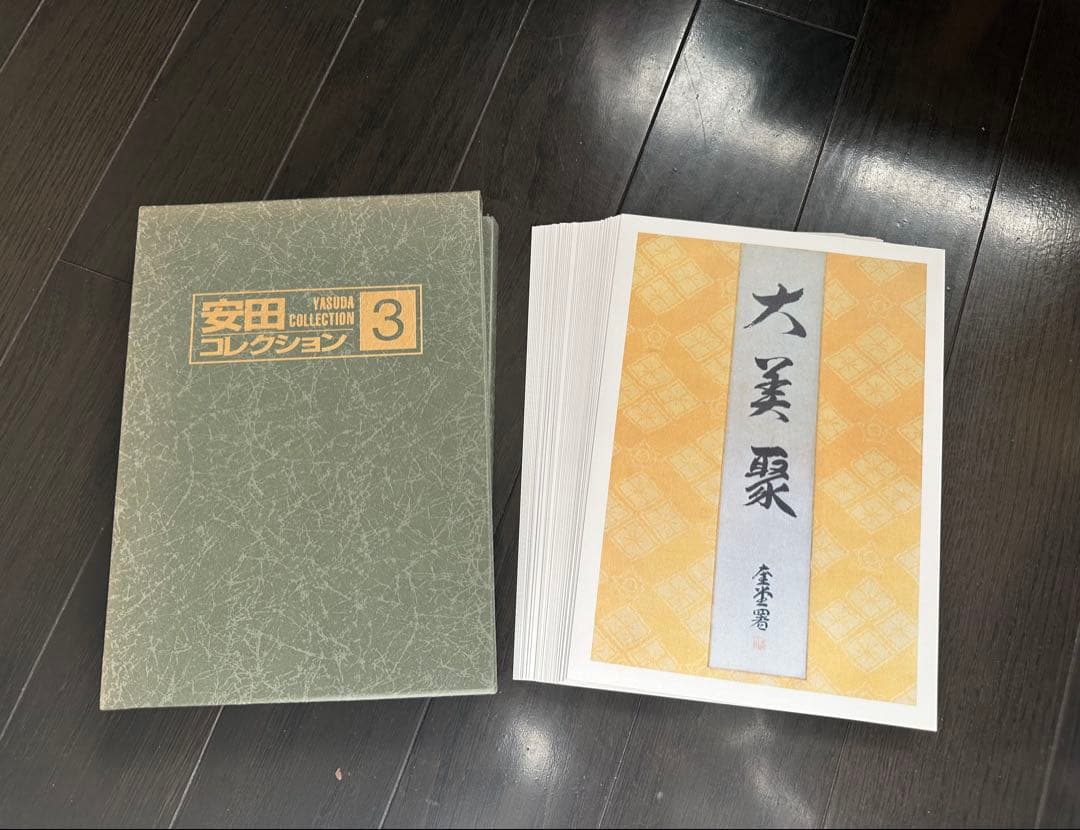 安田コレクション　全9巻