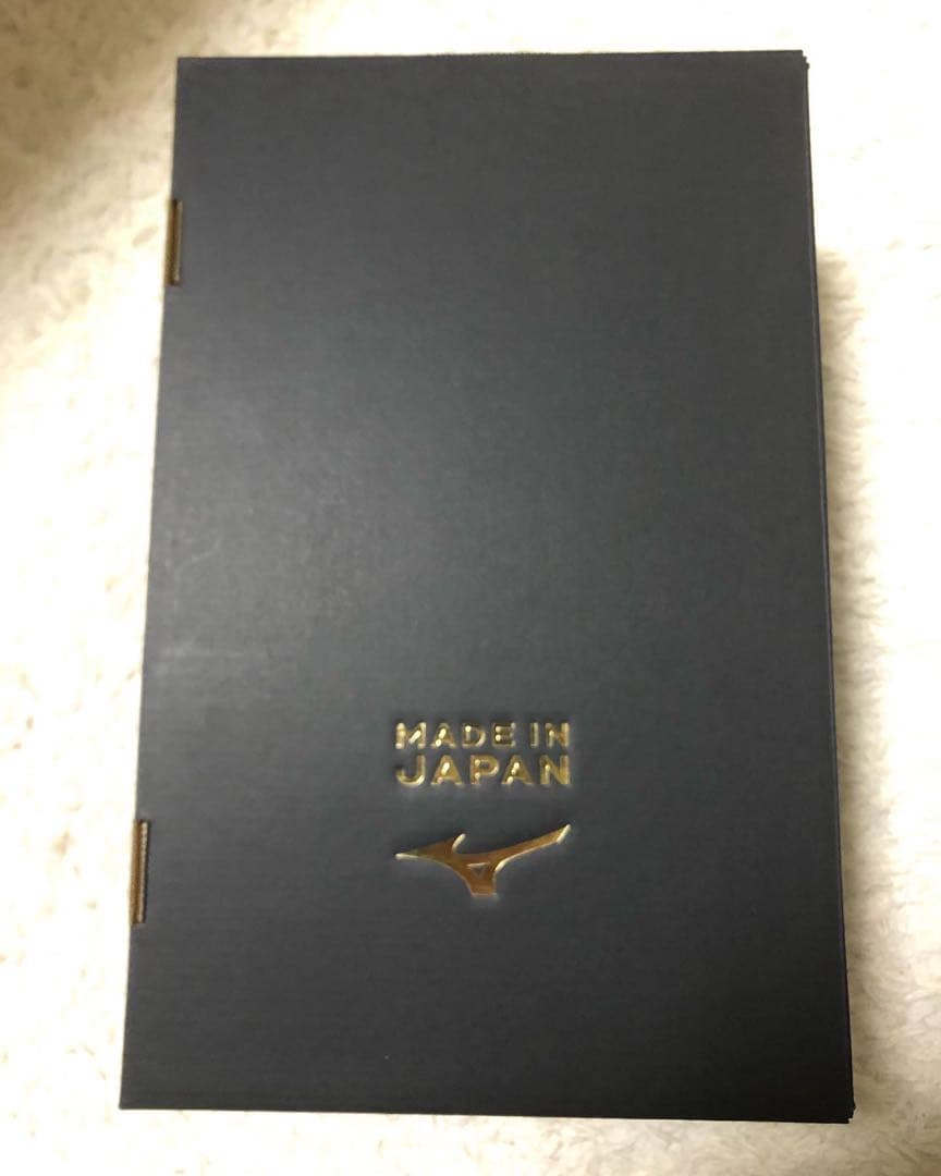 Mizuno ボクシングシューズ 黒/青