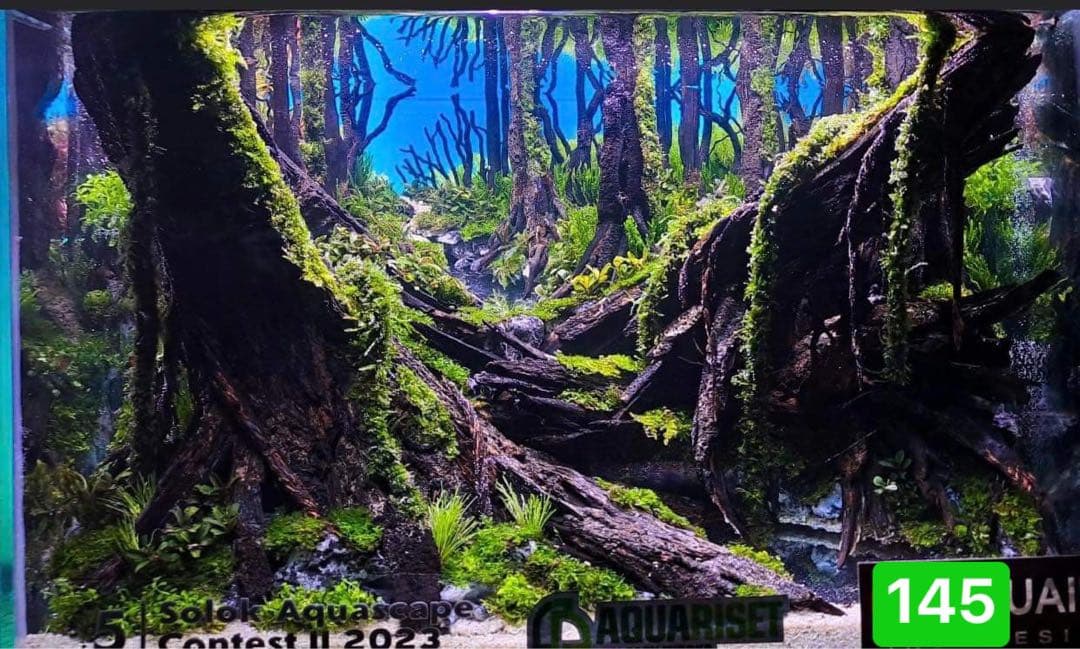 TTD 14530 【⭐︎魅上様⭐︎】【美品・数量限定】