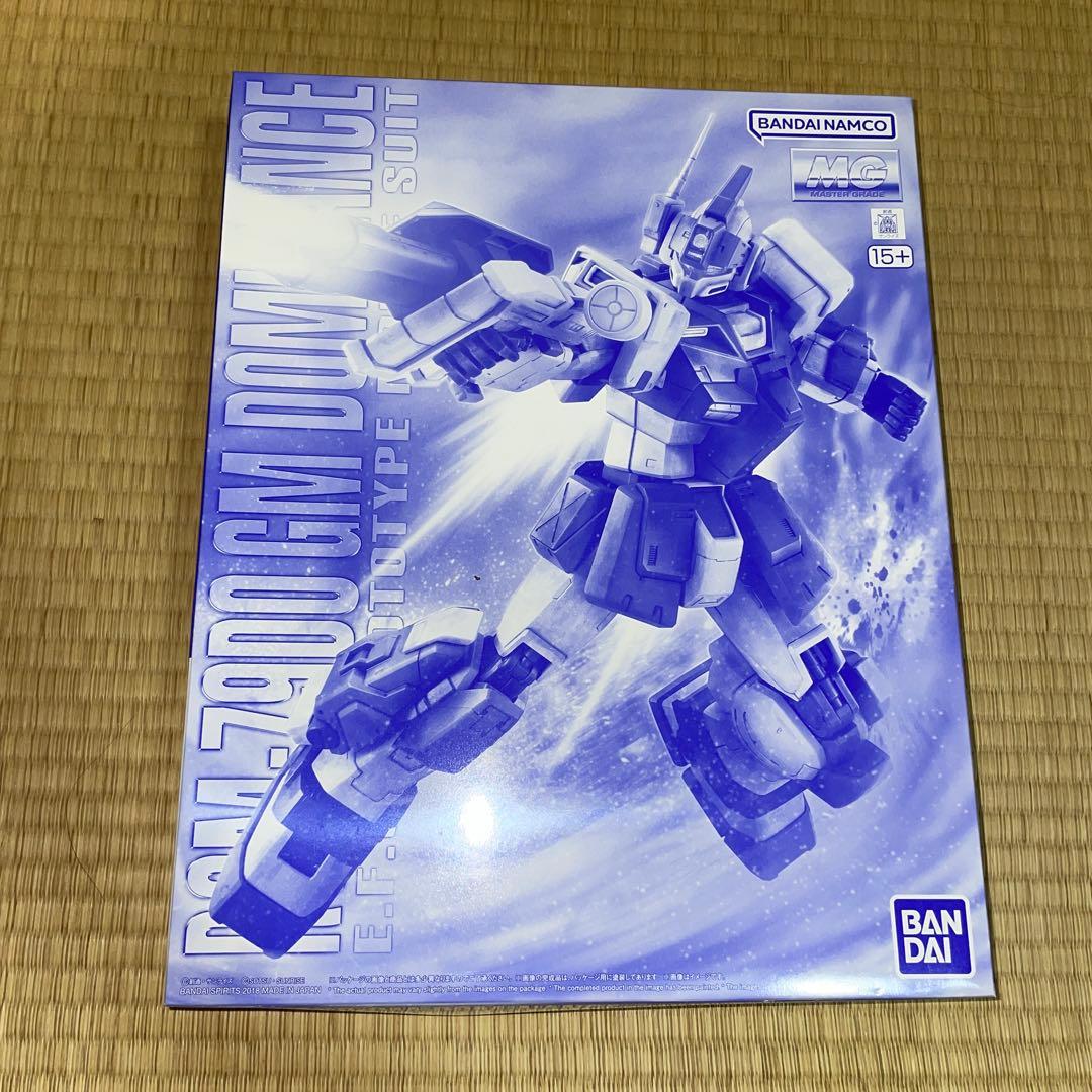 BANDAI ガンプラ　プレバンMG1 /100 RGM-79 ジムドミナンス