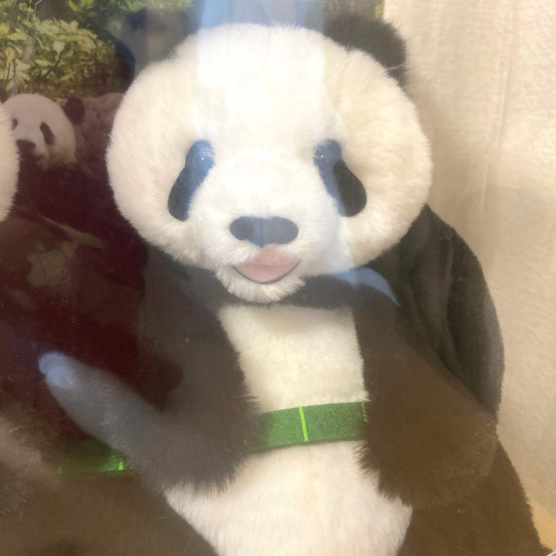 上野動物園　ぬいぐるみセット 暁暁＆蕾蕾　双子パンダありがとう商品　特典つき