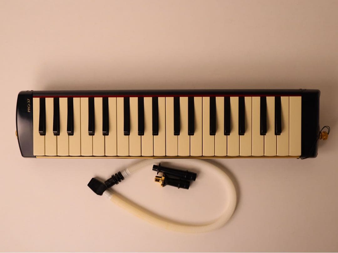 SUZUKI メロディオン PRO-37 V2
