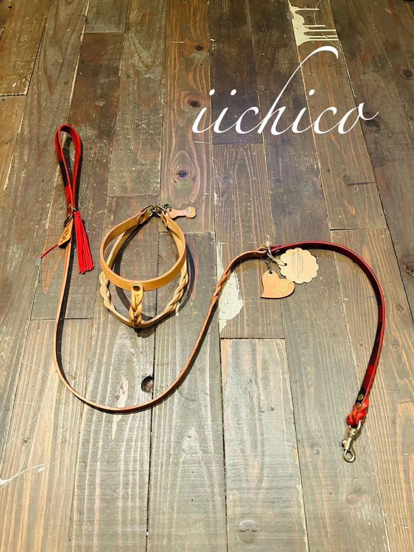 リード＆ハーネス2点SET❗️レッドミニタリー