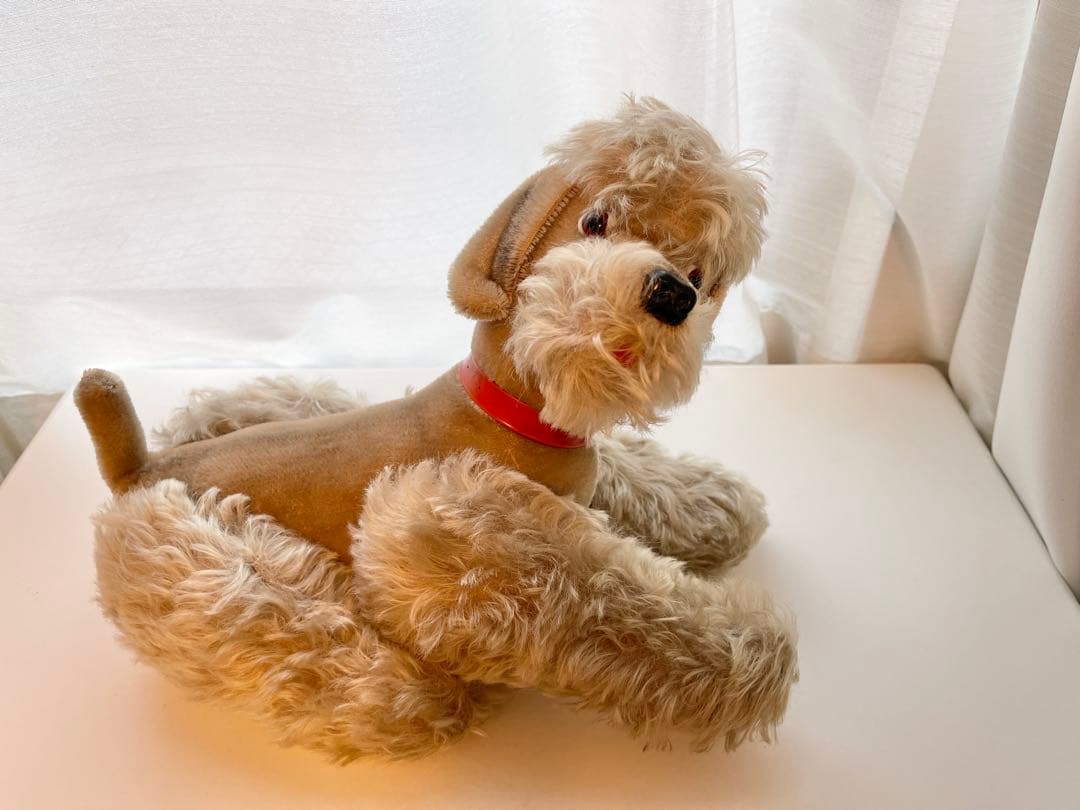 なんとも言えない表情のわんちゃん　シュタイフ　スノビー　プードル　36cm