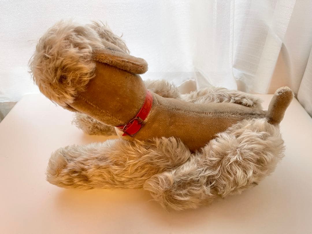 なんとも言えない表情のわんちゃん　シュタイフ　スノビー　プードル　36cm