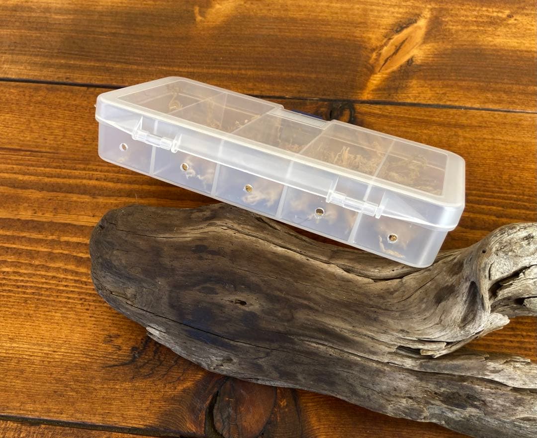 クワガタ採集セット　オリジナルかき出し棒　採集道具　迷彩柄　採集ケース　オレンジ