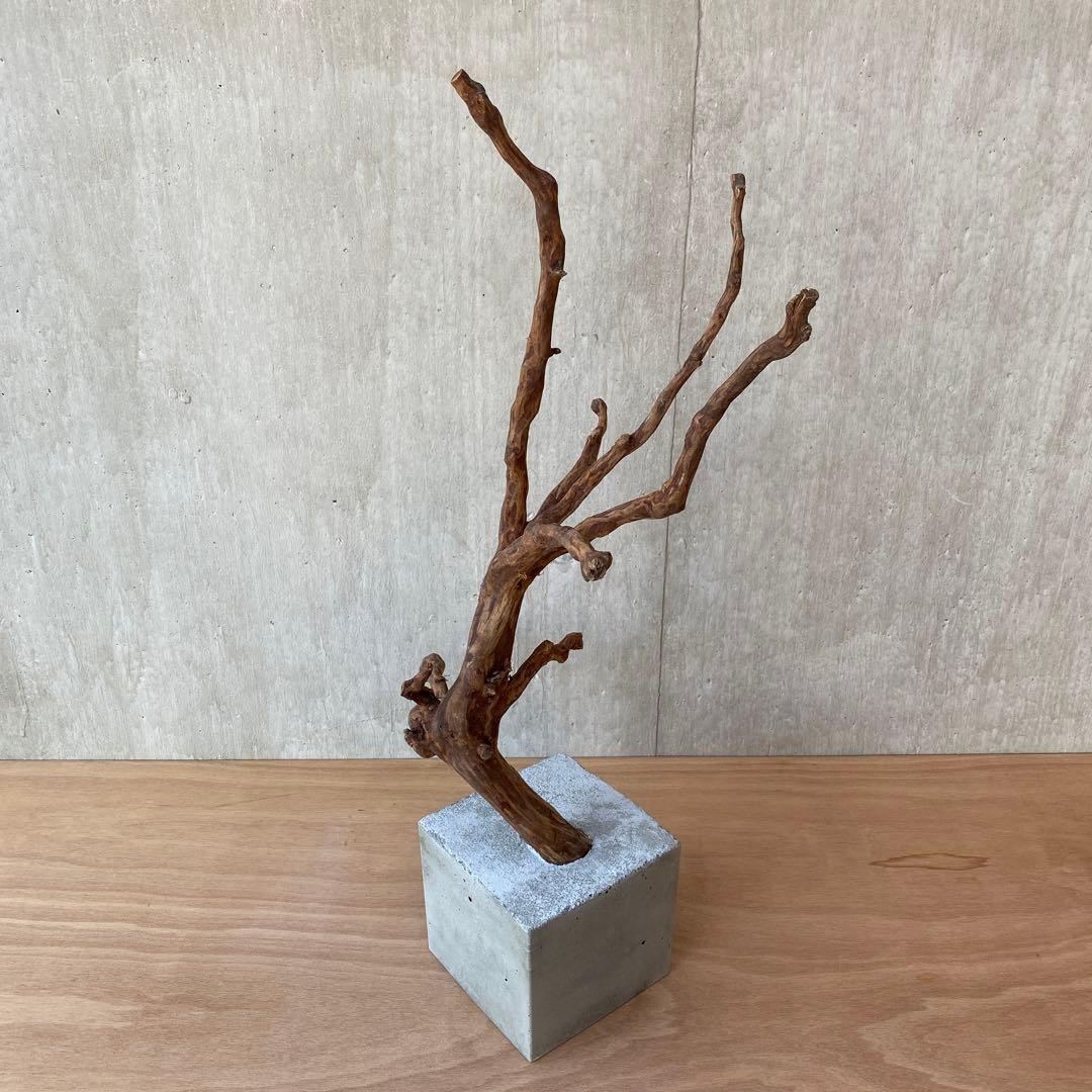 ❹【コンクリート盆栽 流木オブジェ】アクセサリー インテリア アート 爬虫類