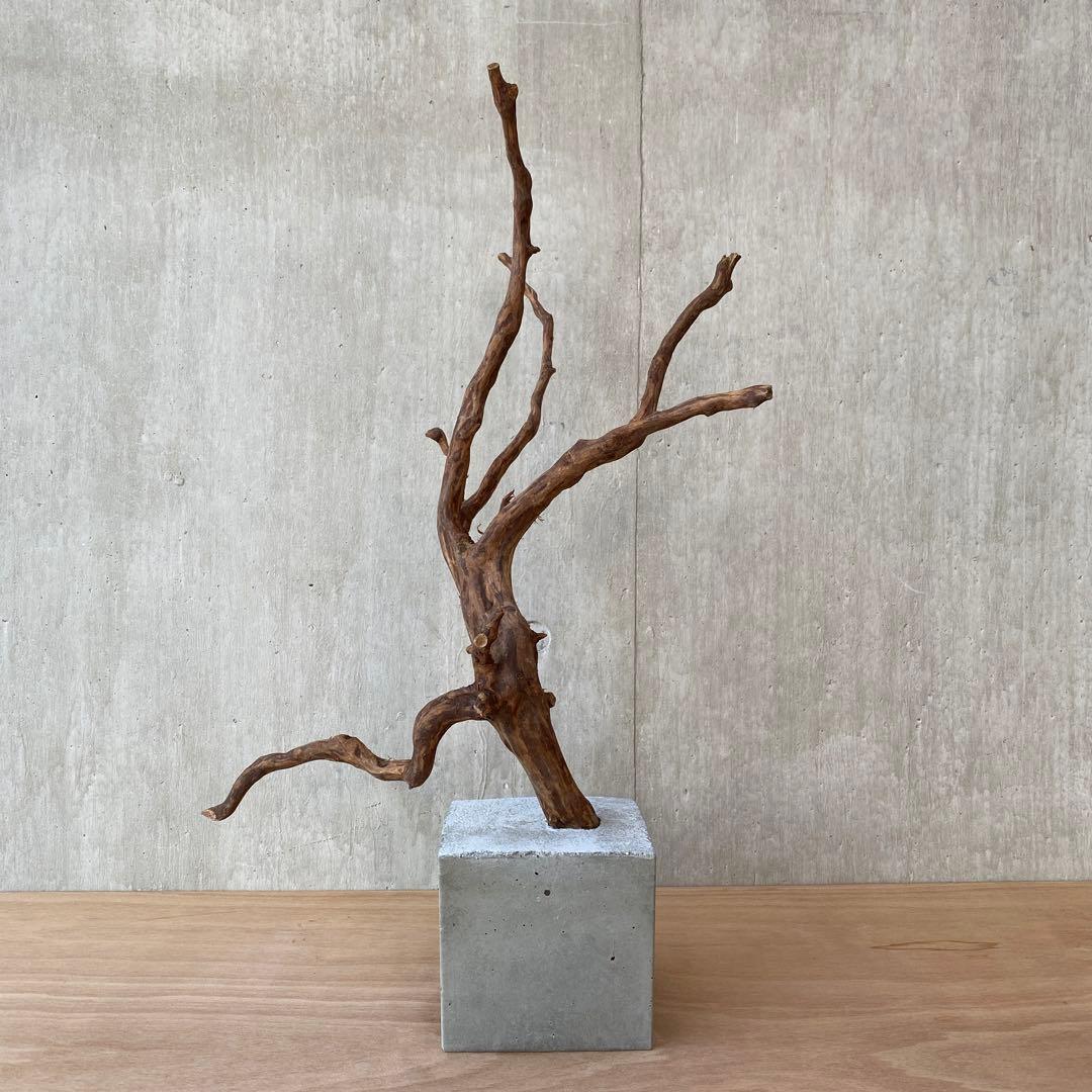 ❹【コンクリート盆栽 流木オブジェ】アクセサリー インテリア アート 爬虫類
