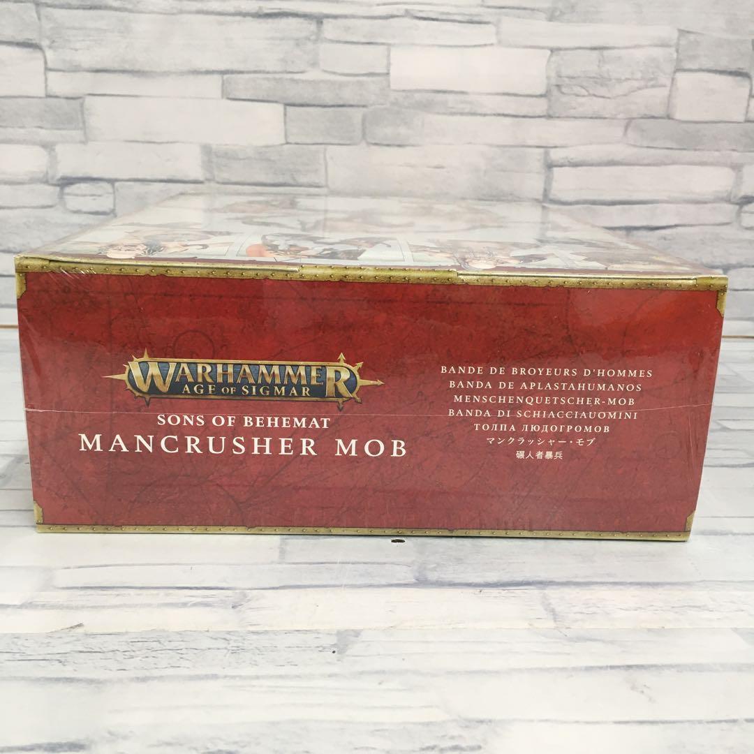 o491 マンクラッシャー・モブ