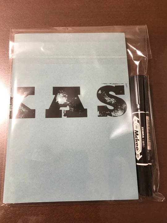 星野源 テキサス TEXAS パンフレット 直筆サイン入り おまけ付き