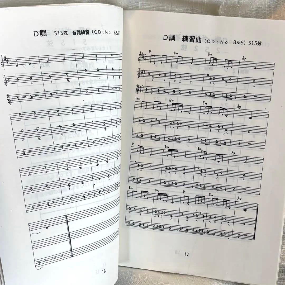 民族楽器 月琴 専用ケース 教本付き