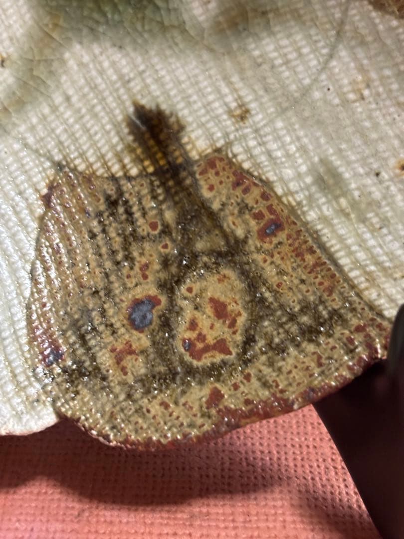 河井寛次郎作柿緑釉麻布目輪花三ツ足皿　製作番一　森の器