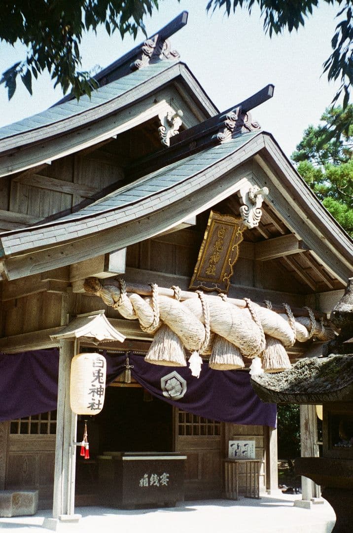 作例あり★フイルム実写OK!／SAMOCA 35 III／日本製フィルムカメラ