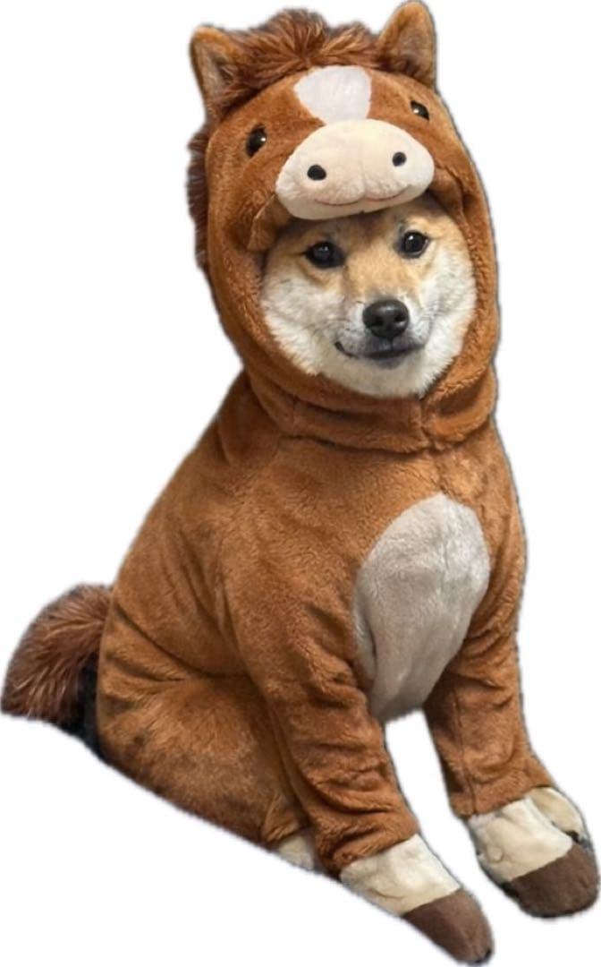 ハローキティ ストラップ 59個 ご当地キティー　平成レトロ　サンリオ