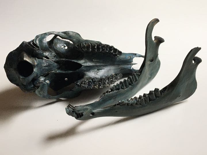 鹿頭蓋骨　頭骨　ブロンズ加工