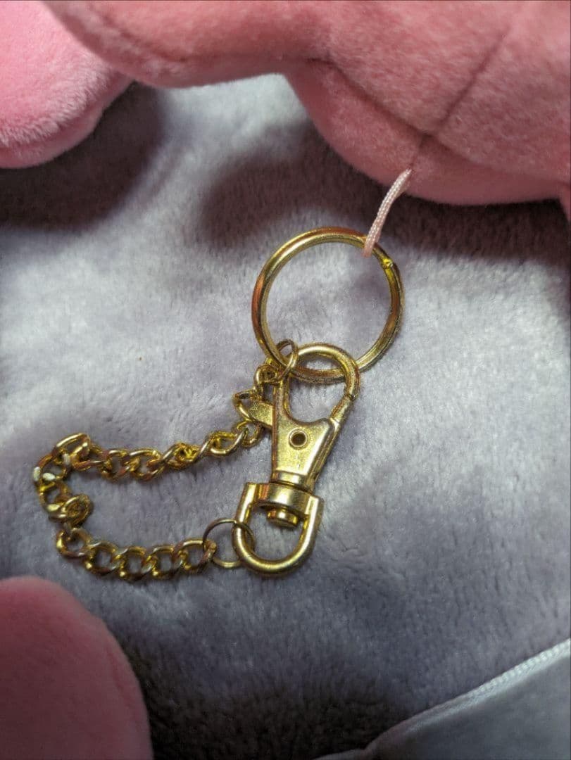 ポケモンセンター限定 メガヤドランのポンチョを着たピカチュウ マスコット