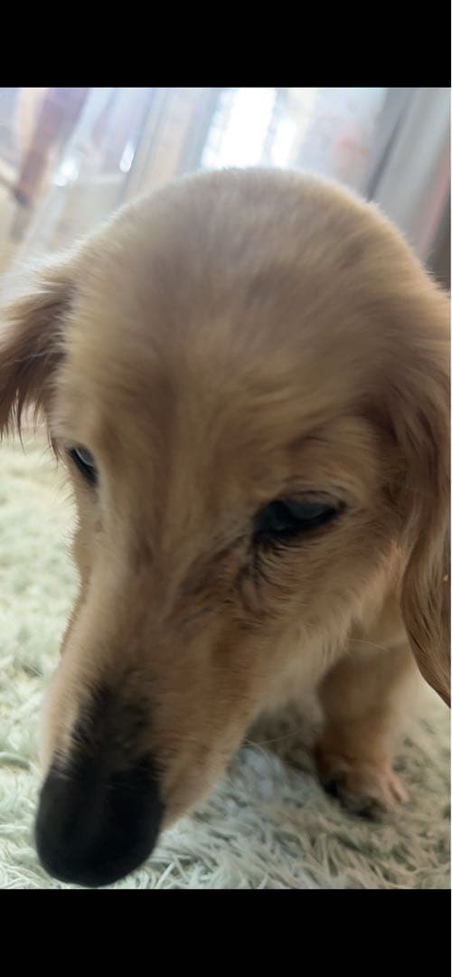 作成お願いするにあたり、 色々写真アップしていきますm(_ _)m