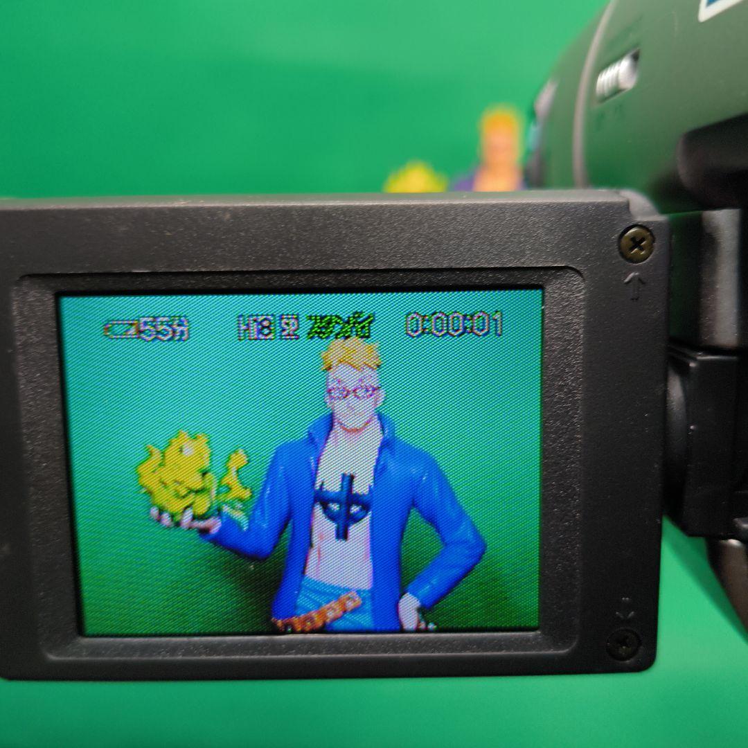 【動作確認済】SONY ソニー CCD-TRV80 video Hi8