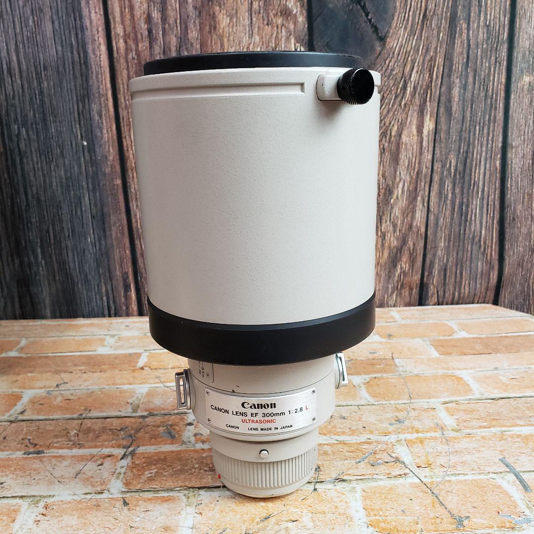 キャノン EF 300mm F2.8L EXTENDER EF 1.4x II