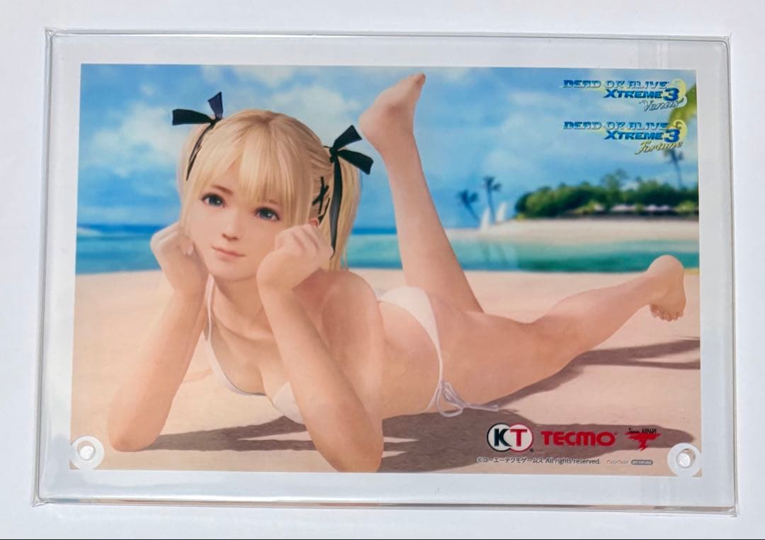 DEAD OR ALIVE あみあみ 特典 アクスタ　マリー・ローズ　レア