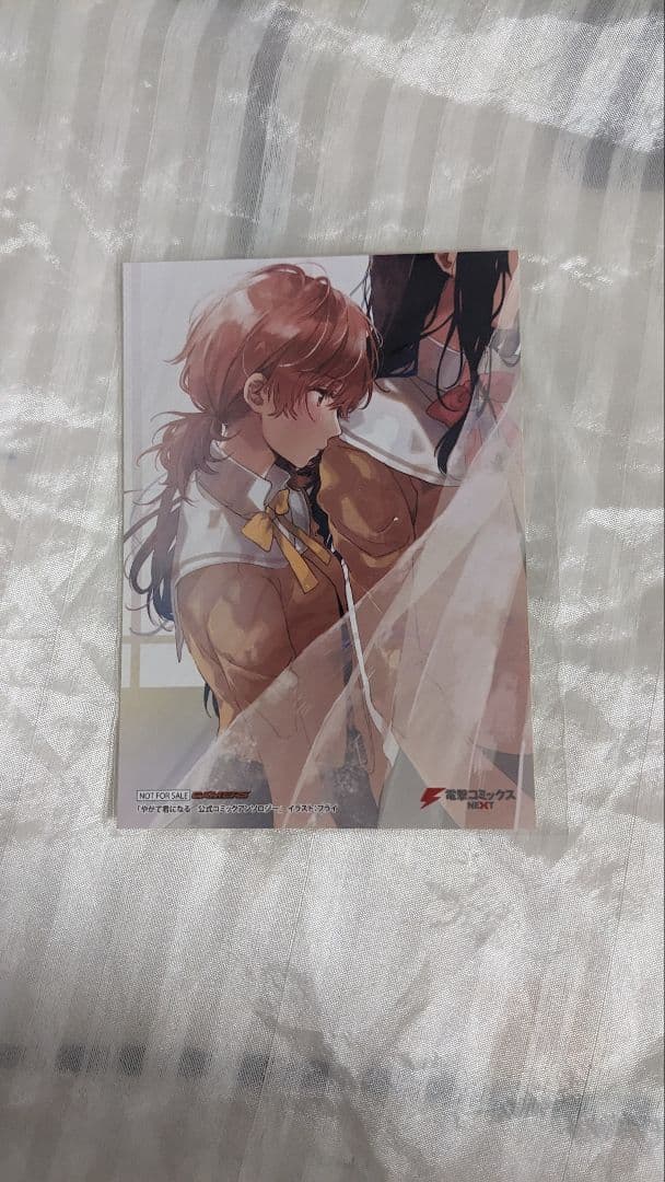 フライ ブロマイド やがて君になる