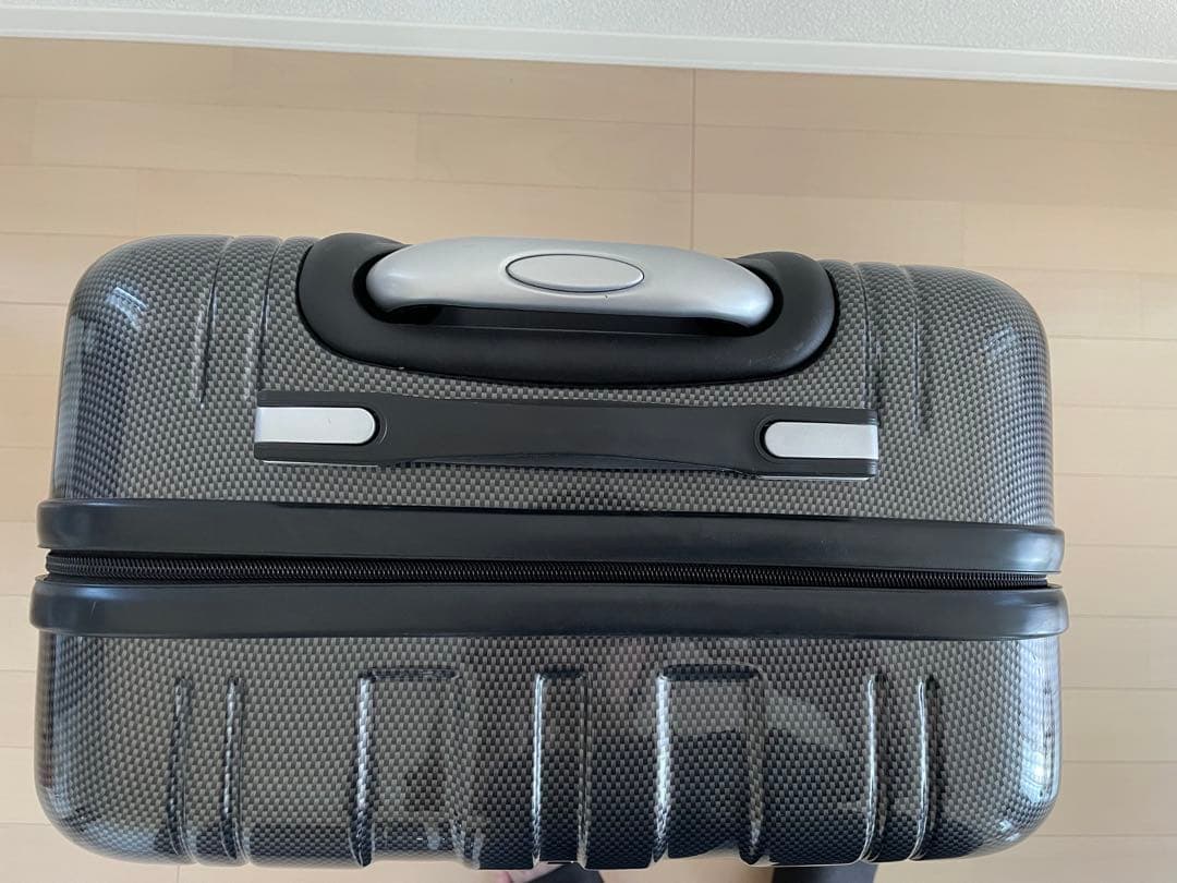 ACE Co.,Ltd. PUJOLS スーツケース