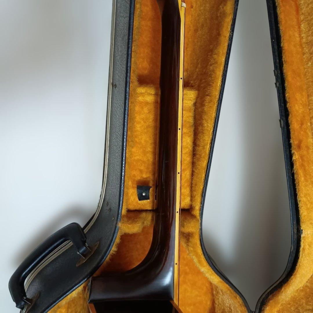 Blue Bell アコースティックギター 250