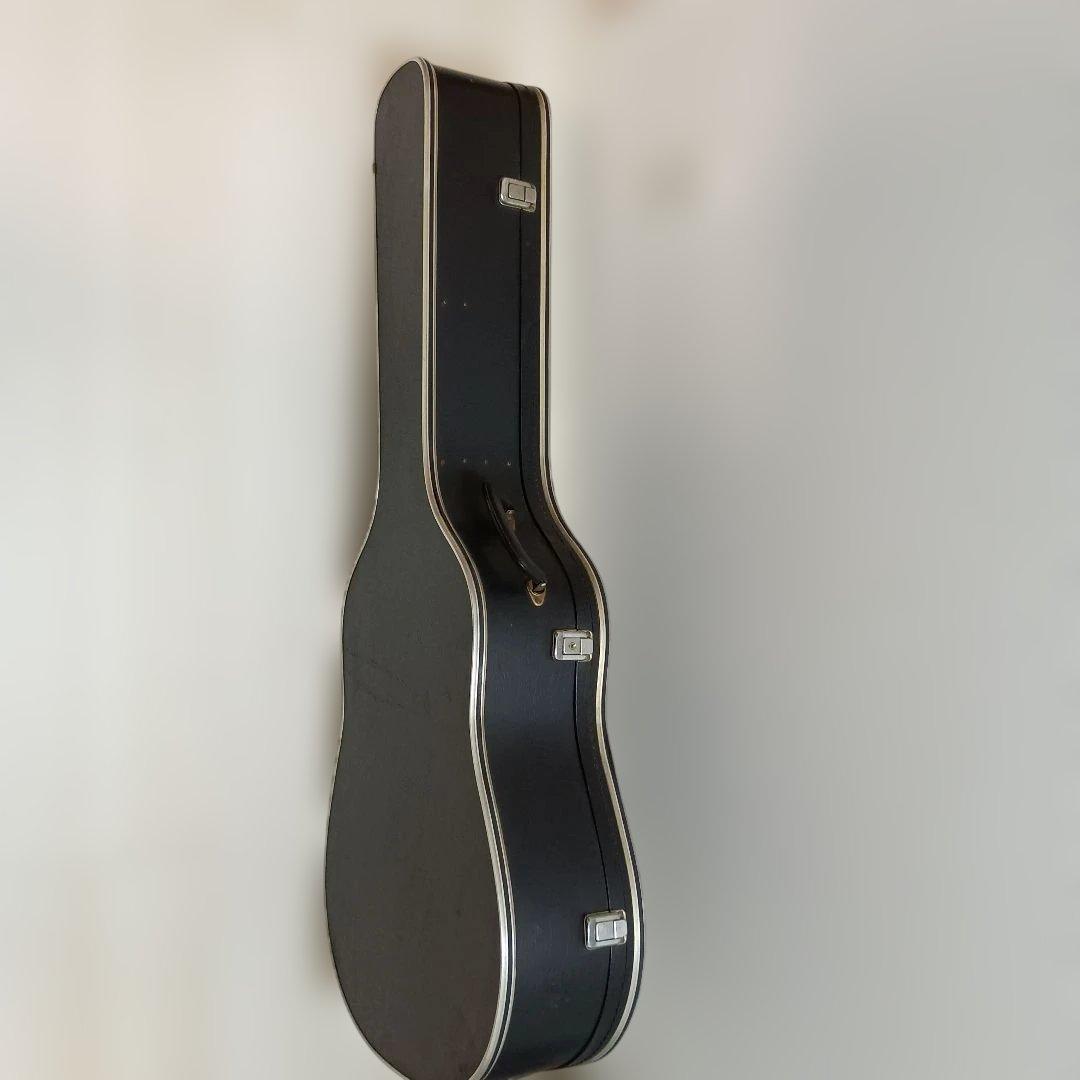Blue Bell アコースティックギター 250