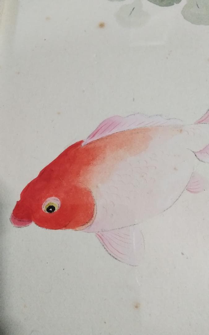 模写　作者不明　速水御舟　金魚　日本画巨匠最終値下げ