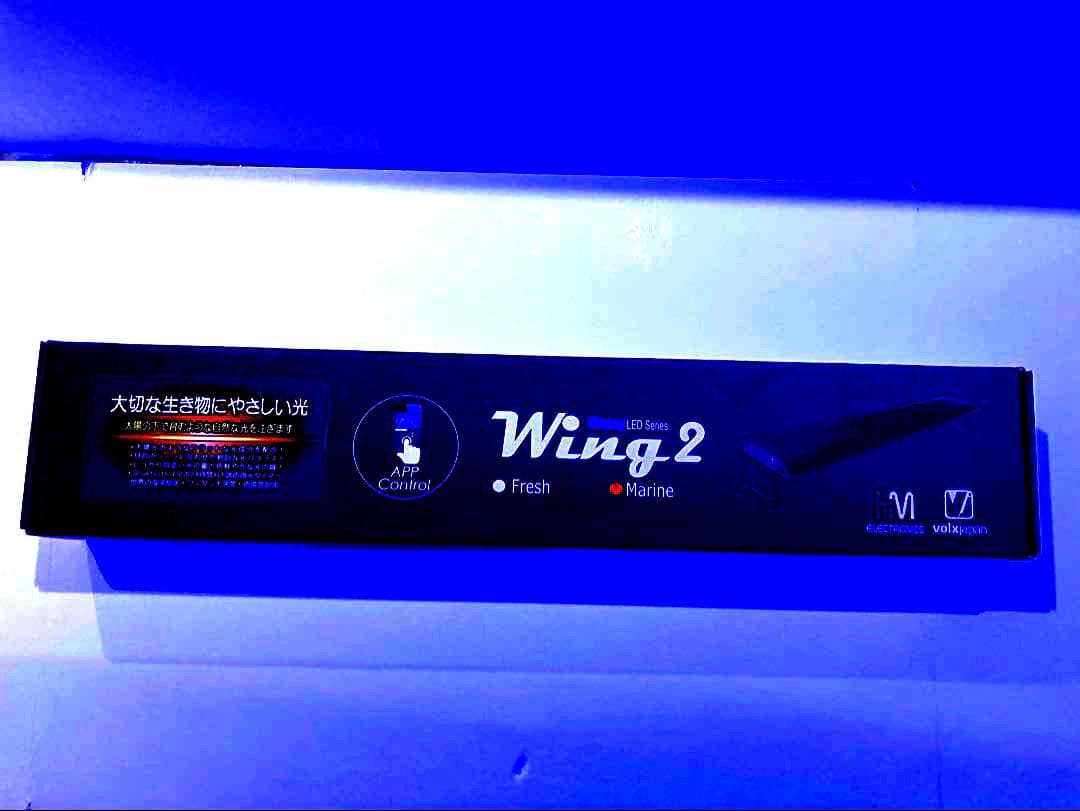 ライト・照明器具 Grassy Wing2 / 60 Marine